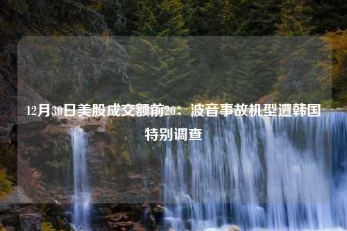 12月30日美股成交额前20：波音事故机型遭韩国特别调查