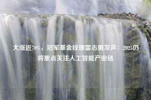 大涨近70%，冠军基金经理雷志勇发声：2025仍将重点关注人工智能产业链