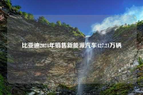 比亚迪2024年销售新能源汽车427.21万辆