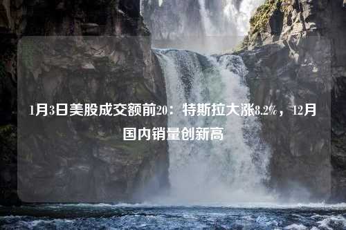 1月3日美股成交额前20：特斯拉大涨8.2%，12月国内销量创新高