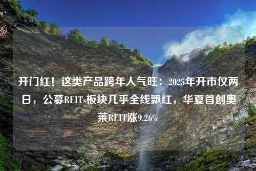 开门红！这类产品跨年人气旺：2025年开市仅两日，公募REITs板块几乎全线飘红，华夏首创奥莱REIT涨9.26%