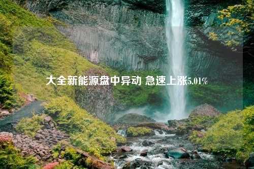 大全新能源盘中异动 急速上涨5.01%