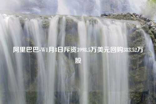 阿里巴巴-W1月8日斥资3998.5万美元回购383.52万股