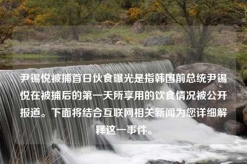 尹锡悦被捕首日伙食曝光是指韩国前总统尹锡悦在被捕后的第一天所享用的饮食情况被公开报道。下面将结合互联网相关新闻为您详细解释这一事件。