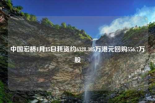 中国宏桥1月15日耗资约6328.305万港元回购556.7万股