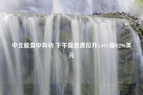 中北能盘中异动 下午盘急速拉升5.04%报0.296美元