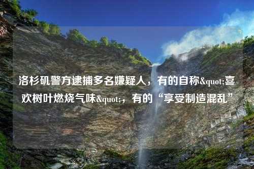 洛杉矶警方逮捕多名嫌疑人，有的自称"喜欢树叶燃烧气味"，有的“享受制造混乱”