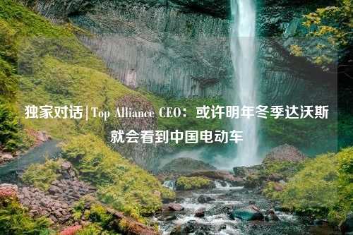 独家对话|Top Alliance CEO：或许明年冬季达沃斯就会看到中国电动车