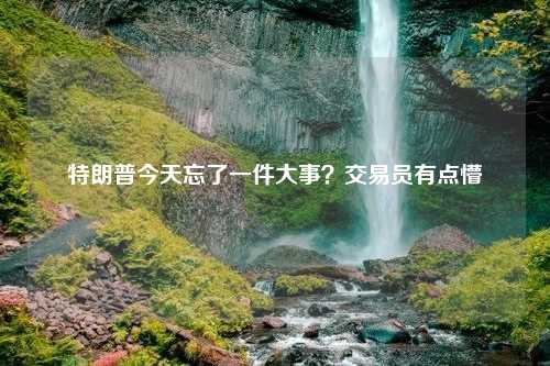 特朗普今天忘了一件大事？交易员有点懵