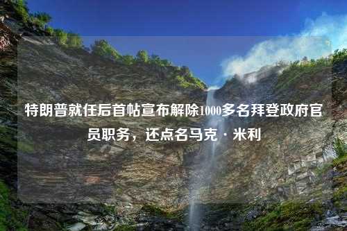 特朗普就任后首帖宣布解除1000多名拜登政府官员职务，还点名马克·米利