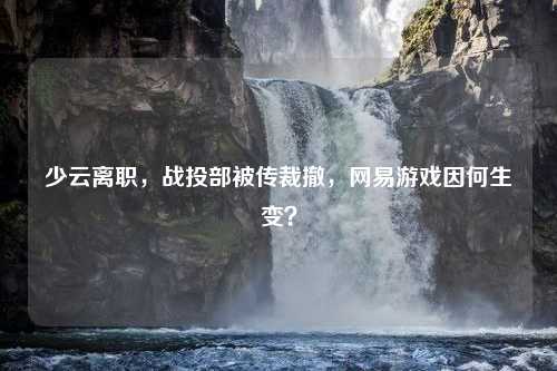 少云离职，战投部被传裁撤，网易游戏因何生变？