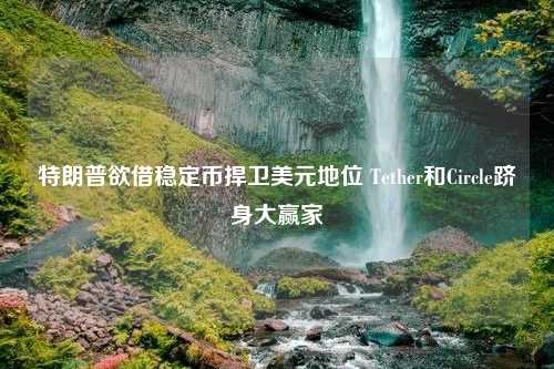 特朗普欲借稳定币捍卫美元地位 Tether和Circle跻身大赢家