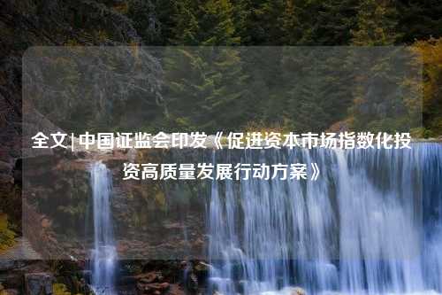 全文|中国证监会印发《促进资本市场指数化投资高质量发展行动方案》