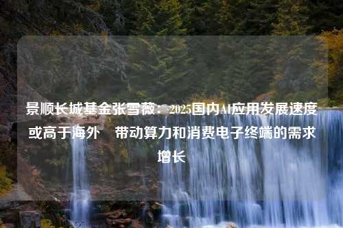 景顺长城基金张雪薇：2025国内AI应用发展速度或高于海外 带动算力和消费电子终端的需求增长