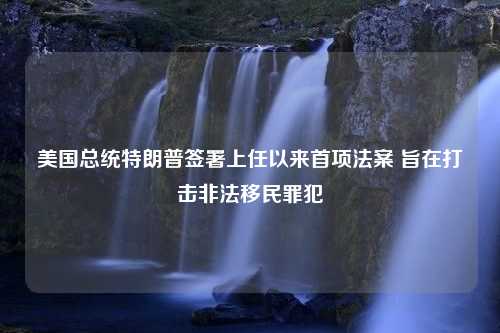 美国总统特朗普签署上任以来首项法案 旨在打击非法移民罪犯