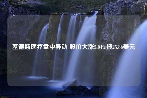 塞德斯医疗盘中异动 股价大涨5.04%报25.86美元