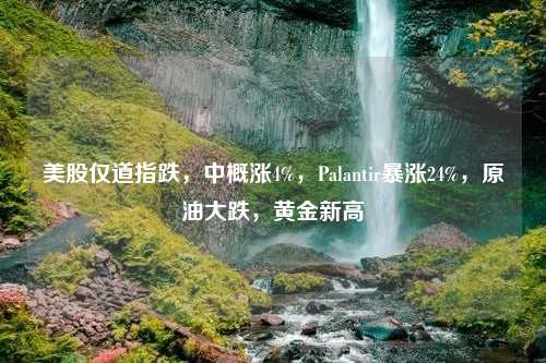 美股仅道指跌，中概涨4%，Palantir暴涨24%，原油大跌，黄金新高