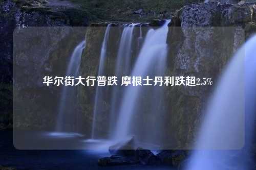 华尔街大行普跌 摩根士丹利跌超2.5%