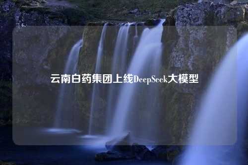 云南白药集团上线DeepSeek大模型