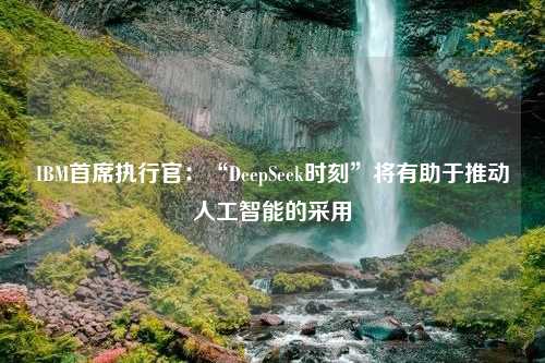 IBM首席执行官：“DeepSeek时刻”将有助于推动人工智能的采用