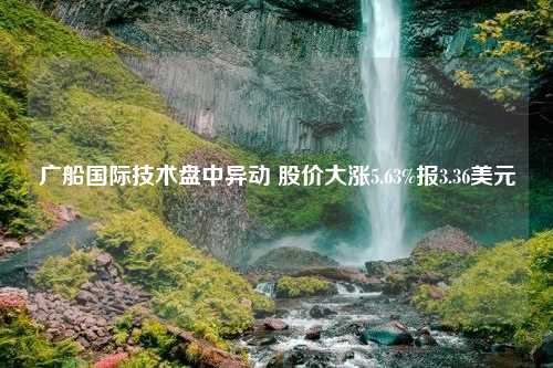 广船国际技术盘中异动 股价大涨5.63%报3.36美元