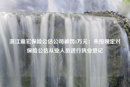 浙江鼎宏保险公估公司被罚1万元：未按规定对保险公估从业人员进行执业登记